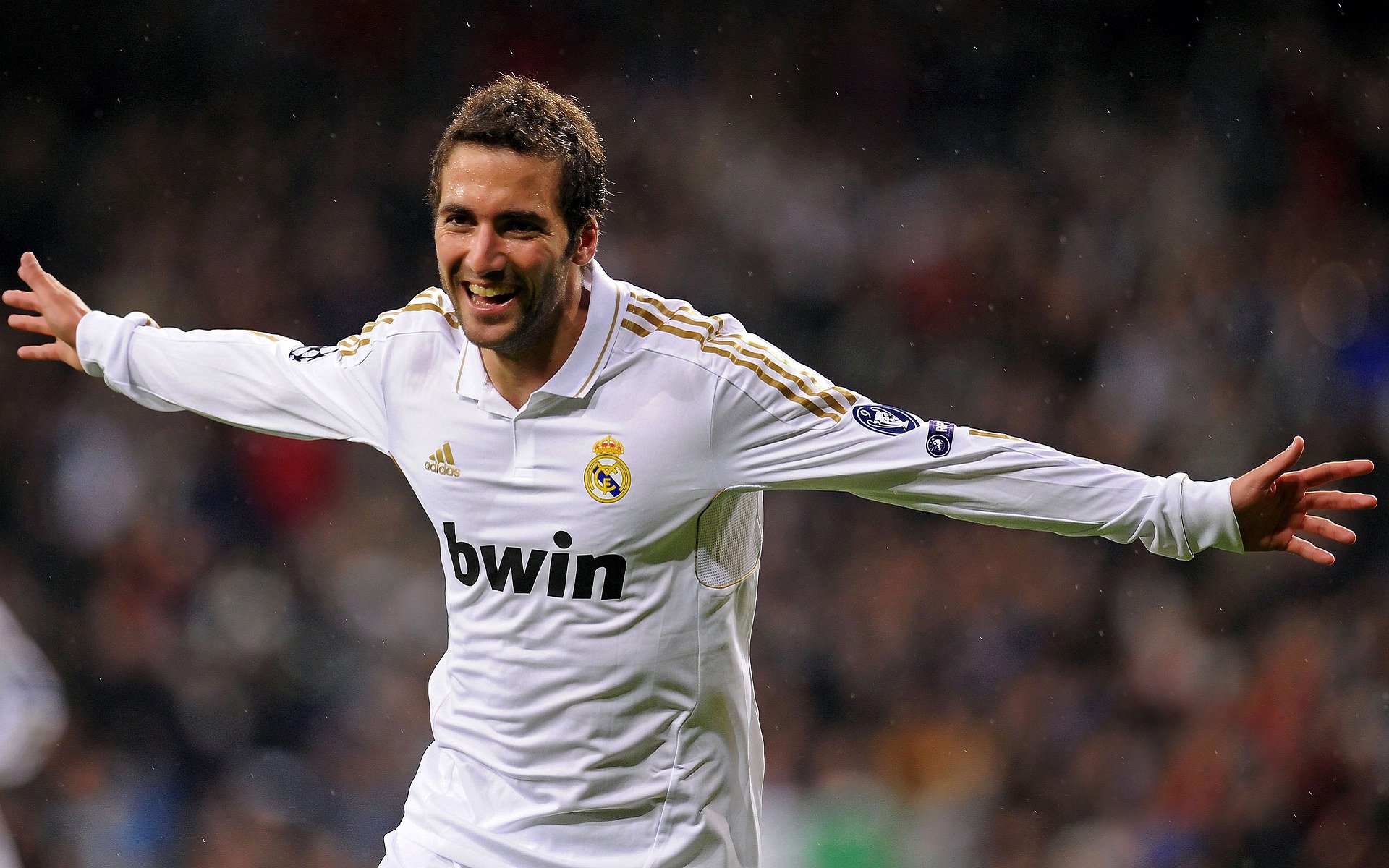 爱尔兰女子队世界杯之旅再掀热潮，爱尔兰队世界排名